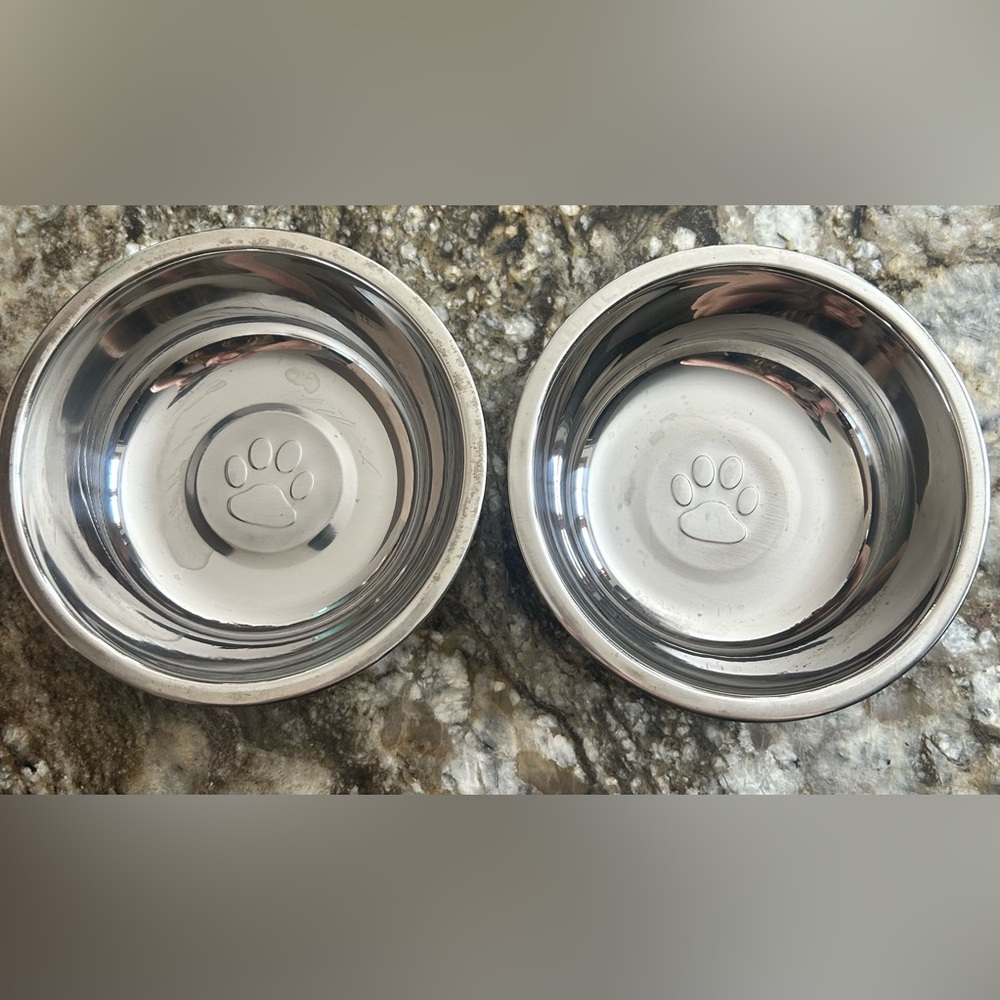 Stainless Steel Pet Bowls with Paw Print